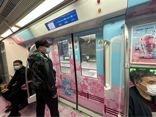武汉“樱花地铁专列”上线，“鱼快快”带你坐上地铁去赏樱