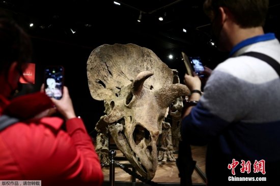 世界最大的<em>三角龙</em>化石骨架在法国巴黎以665万欧元拍出