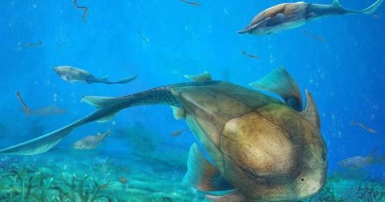 <em>世界未解之谜</em>：科学家猜测，人是由鱼进化来的？祖先也可能是鱼...