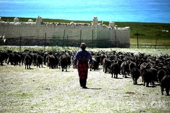 遇见2023年的阿里——西藏阿里“乡村振兴”见闻实录