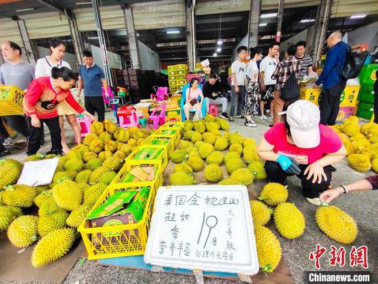 中国—东盟水果生意旺 榴莲降价热销