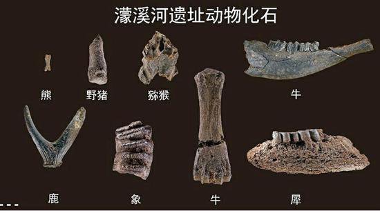 濛溪河旧<em>石器时代</em>遗址入选“2023年中国考古新发现”