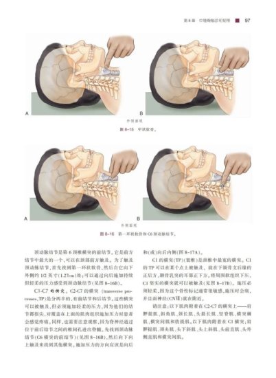 康复专业<em>参考书</em>！肌肉和骨骼触诊手册：基于扳机点、牵涉痛及...