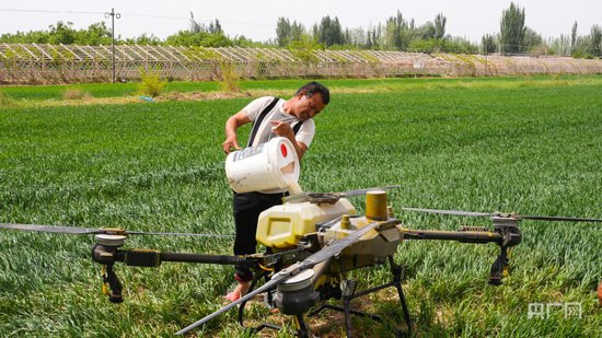 高质量发展“新”速度丨墨玉县以科技手段提高小麦田间管理效率