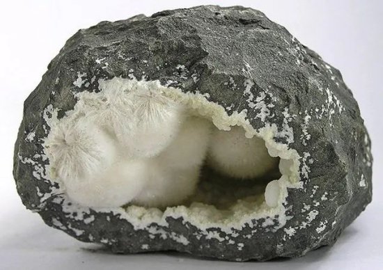 石头里面怎么长了许多毛茸茸的兔子尾巴？