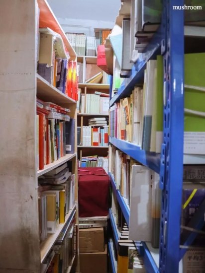 这家深藏在四川大学20年的小书店，是否承包了你的芳华岁月