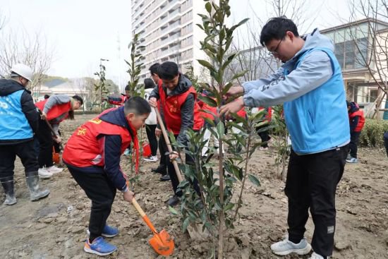 苏州多部门开展植树活动 助力<em>居民小区</em>景观绿化