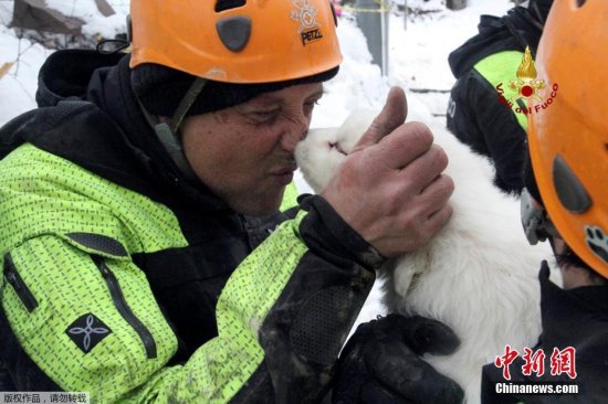 意大利遇雪崩酒店挖出三只<em>狗宝宝</em> 救援人员又抱又亲