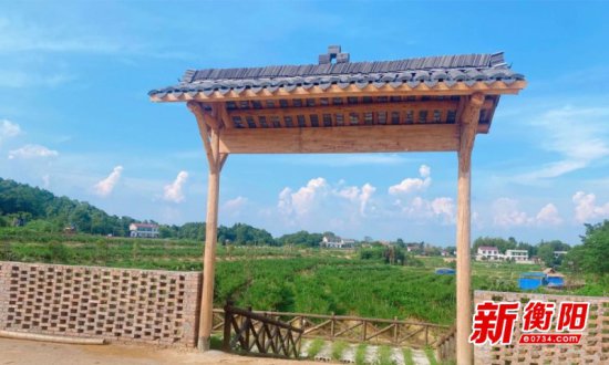 衡东县“三樟楚地”430亩黄贡椒喜迎丰收