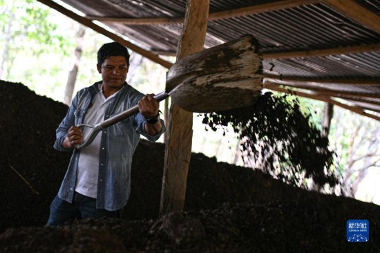 洪都拉斯：探访咖啡<em>种植园</em>和工厂