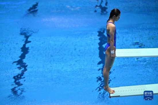 游泳世锦赛——女子1米板预赛赛况