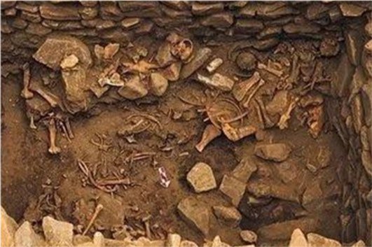 2005年，湖北重大发现，出土一男七女合葬墓