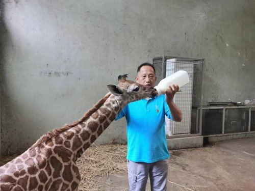 上海动物园：与5000多只动物一起“<em>闭关</em>”<em>的</em>78天