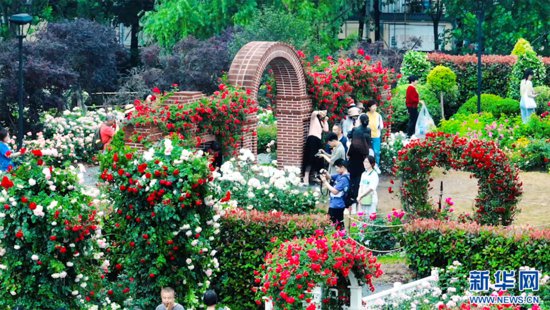 聚焦高质量发展丨<em>花园里的</em>大武汉，家园里的大花园