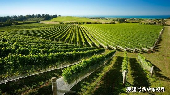 豫东民权，一个历史文化厚重的葡萄酒产区