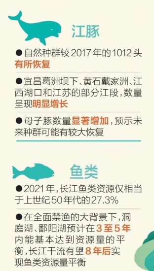8.86亿尾鱼！长江10年禁渔效果显著，未来长江会鱼满为患吗？