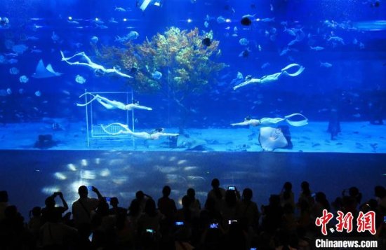 国庆假期 重庆海洋公园“美人鱼”表演吸引游客