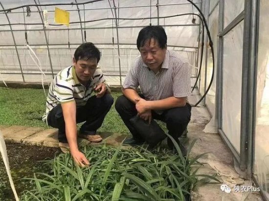 陕西新农民故事▏李加成：让乡亲们在家门口就业增收