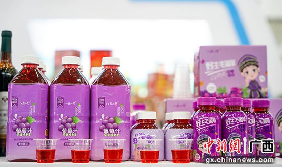桂林举办广西餐饮文化博览会 助推桂菜产业高质量发展
