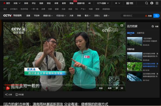 （CCTV4） [远方的家]古林箐：滇南雨林邂逅新朋友 分泌毒液：倭...