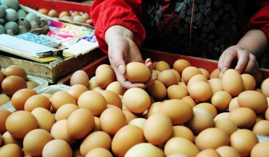 今日鸡蛋价格稳定为主，2021.7.25鸡蛋价格早报