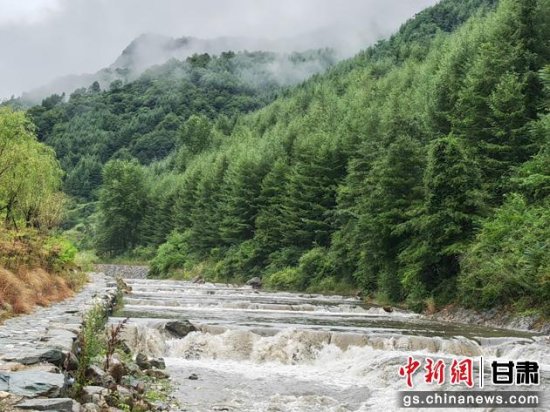 陇南康县：河流颜值产值迎"双升" "水美乡村"撬动经济发展