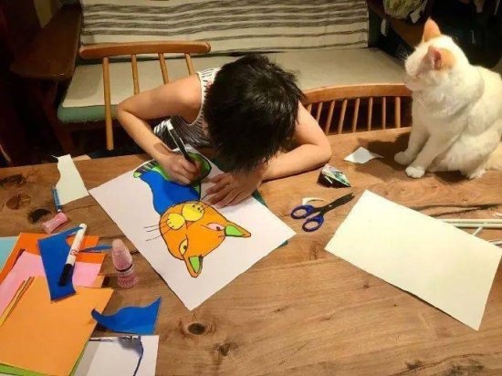 小男孩给猫画画，画好后还用来<em>布置墙面</em>，猫都看懵了！