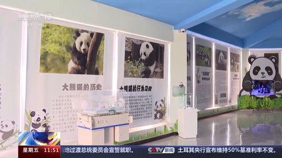 @<em>甘肃</em>市民 五一来<em>兰州</em>野生动物园看大熊猫啦！