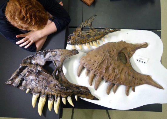 哪些考古发现颠覆了你的认知？巨人头骨，还是北极曾存在着<em>恐龙</em>...