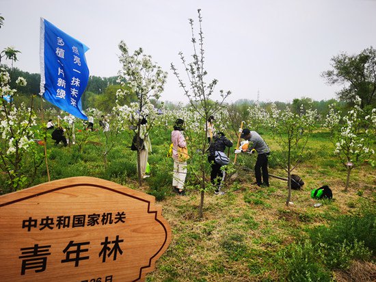 2024年中央和国家机关青年植树<em>交友</em>活动在京举行