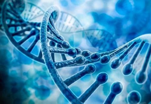 人<em>的寿命</em>早已被确定！科学家头疼：是谁将命数写进人体基因？