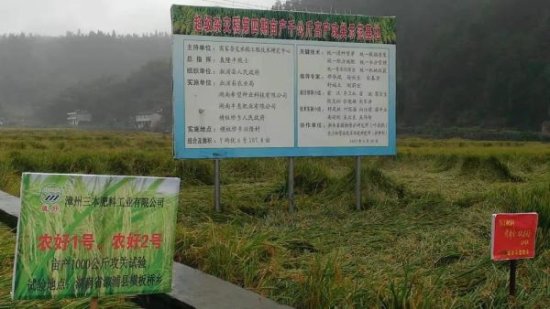 袁隆平写了“稻香飘两岸”挂在漳浦，背后有着<em>怎样</em>的故事？