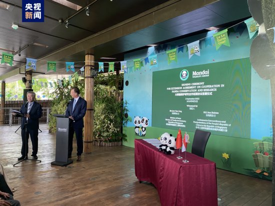 中国和新加坡签署大熊猫保护研究合作延期协议