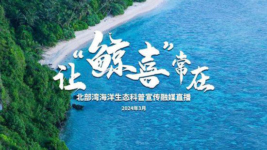 3月23日，来看网红布氏鲸、萌萌中国鲎、广阔红树林......