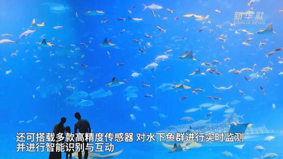 上海海洋大学成功研制出仿生“蝠鲼”