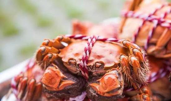 中国哪里的螃蟹最好吃？经对比，5个地方最出名，年货赶紧备起来