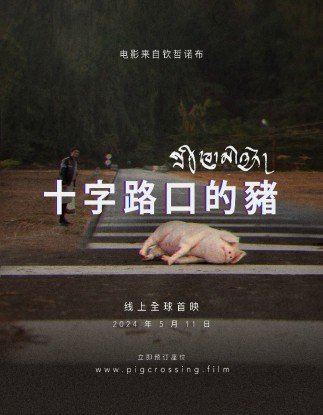 国际知名电影<em>制作人</em>钦哲诺布的新片《十字路口的猪》将于2024年...