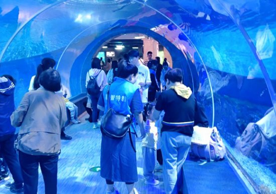35名<em>孤独</em>症儿童到重庆汉海海洋公园奔赴“大海之约”
