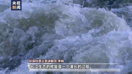 长江禁渔三年多 从水中到两岸有哪些新变化？