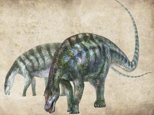 中国西北出土的新恐龙化石化石，推翻了<em>古老的恐龙</em>进化理论