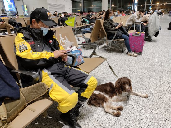 从广州前往土耳其救援的搜救犬：名叫Lucky，盼<em>带来好运</em>
