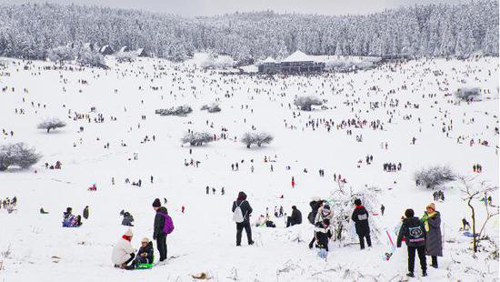 重庆人的冬天，一定要去仙女山看一场唯美冰雪盛宴