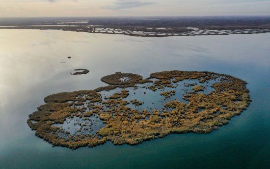 从保护一个湖到保护一个生态系统:乌梁素海流域生态修复治理观察