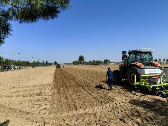 希望的田野 奋进的力量——陕西榆林农业高质量发展巡礼