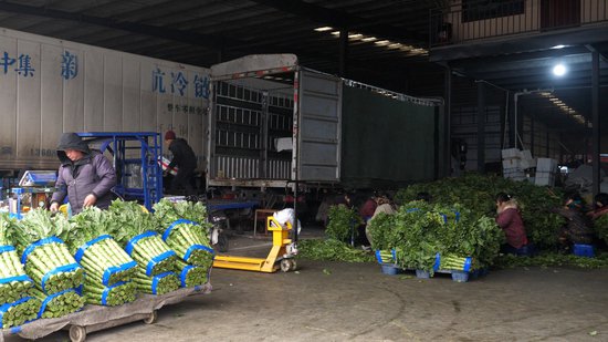 实探万邦：有商户日销30吨蔬菜 外地商户<em>开</em>大货车批水果