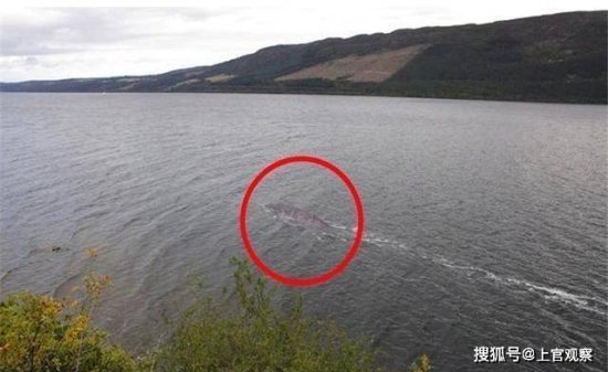 尼斯<em>湖水</em>怪照片公开，拍摄到2.4米长的身影，到底是<em>什么</em>？
