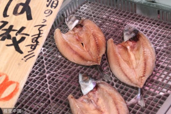 日媒：两亿头海参没处卖，日本新潟县一养殖户大倒苦水