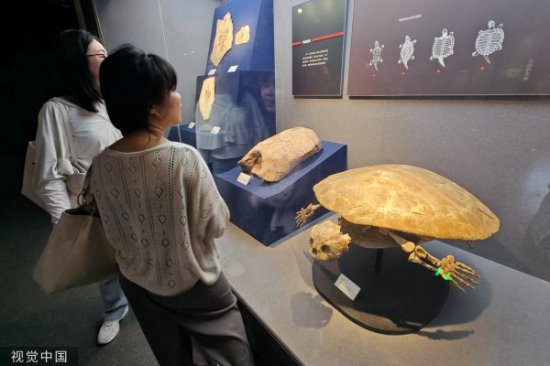 武汉：市民参观武汉自然博物馆 感受<em>各种动物</em>生活场景
