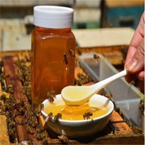 假蜂蜜<em>有哪些明显特征</em>？老蜂农教你一眼识破，这几招真管用！