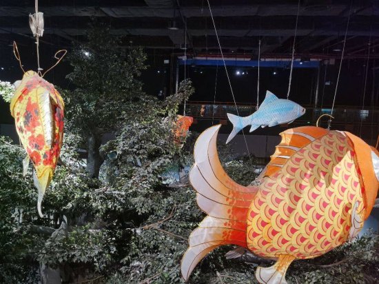 这个元宵节，来顺德赏鱼灯，感受世界美食之都的独特魅力